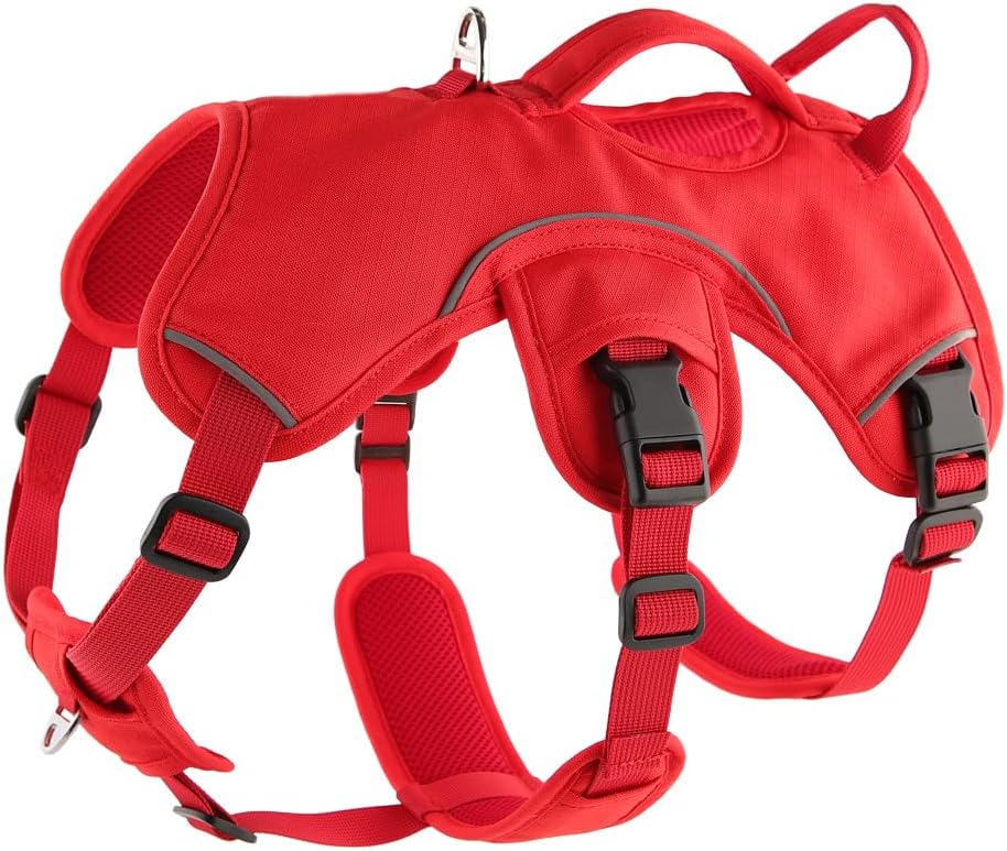 Pettorina Sicurezza Greyhound Regolabile